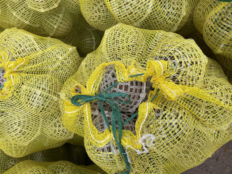 PP懸浮球填料**工藝及產(chǎn)品作用介紹